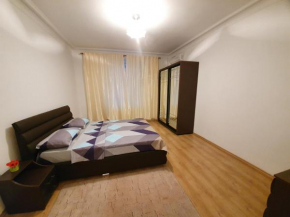 Stefan cel Mare Rent Lux 2 Rooms apartments in Chisinau